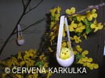 Velikonoce - kuře