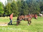 soutěž v tahu těžkých koní